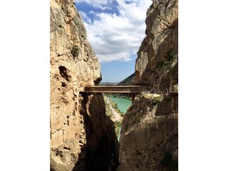 Vakantieappartement Elviria Omgeving 25