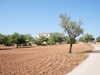Tenuta Campos Registrazione all'aperto 4