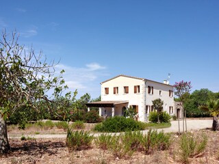 Finca Campos Outdoor Recording 6