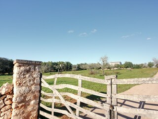 Tenuta Campos Registrazione all'aperto 3