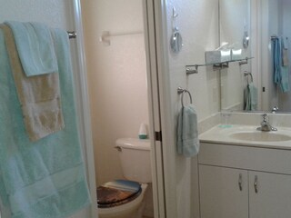 Badezimmer 1