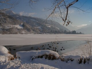 Vakantieappartement Zell am See Omgeving 16