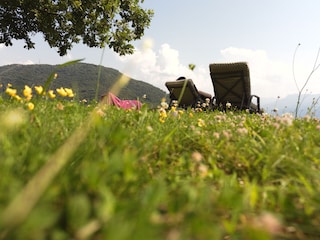 Erholung im Park