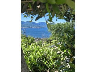 Finca Maccagno Outdoor Recording 12