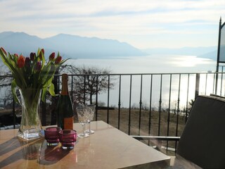 Finca Maccagno Kenmerken 15