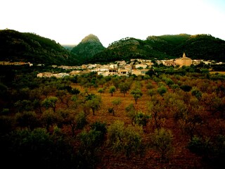 Villa Selva Ambiente 46