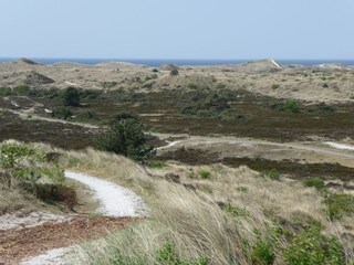 Chalet Schagen Ambiente 15