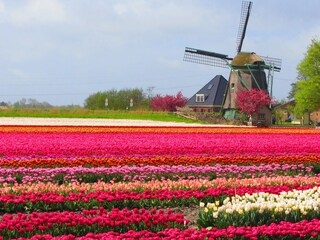 Chalet Schagen Ambiente 19