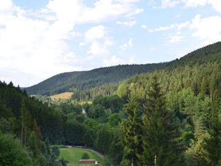 Appartamento per vacanze Alpirsbach Ambiente 15