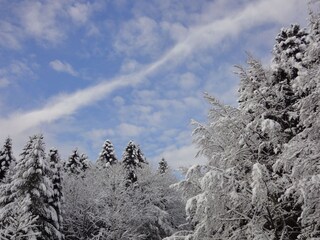 Appartamento per vacanze Alpirsbach Ambiente 18