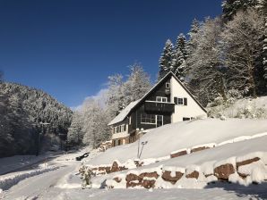 Ferienhaus Luxus-Chalet Lohmühle - Alpirsbach - image1