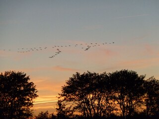 Holiday apartment Prerow Environment 16