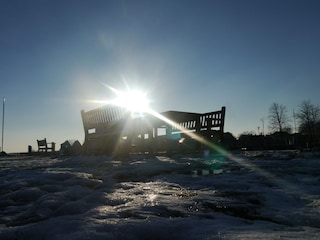 Holiday apartment Prerow Environment 17