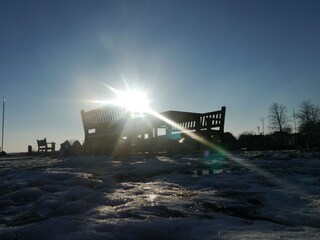 Winter auf dem Darß