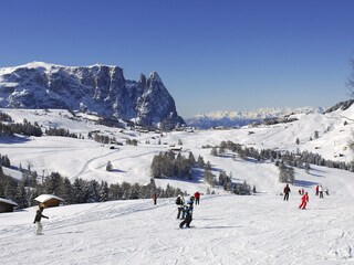 Vakantieappartement Seiseralm  18
