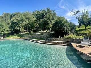 Pool im Sommer