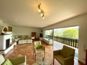 Ferienhaus Lemmerblick