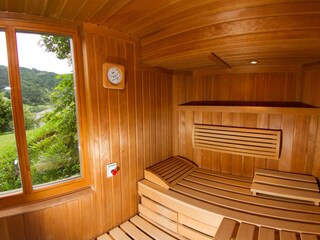 Sauna mit Seeblick