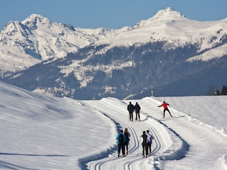 großes Loipennetz