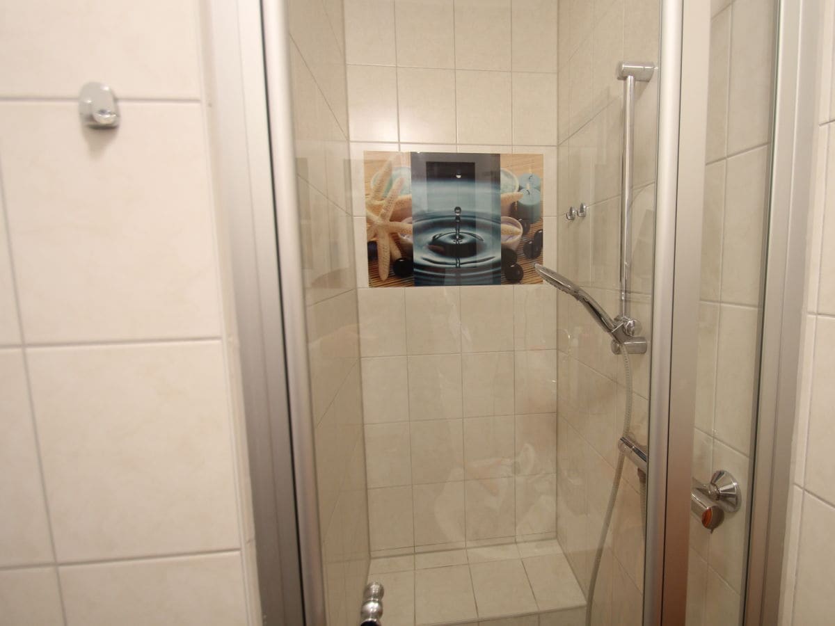 Single frauen in mol