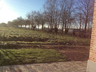 Ferienhaus Dendermonde Außenaufnahme 12