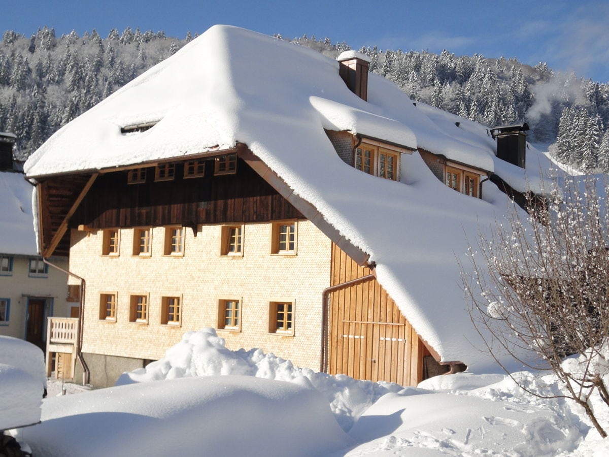 Holiday apartment Bernau im Schwarzwald Outdoor Recording 1