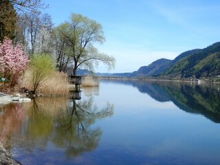 Appartamento per vacanze Bodensdorf Ambiente 23