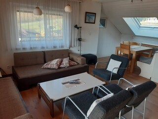 Appartamento per vacanze Bodensdorf Caratteristiche 15