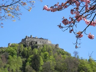 Appartamento per vacanze Bodensdorf Ambiente 24