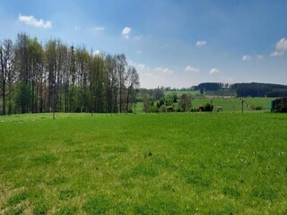 Maison de vacances Burg-Reuland Environnement 35