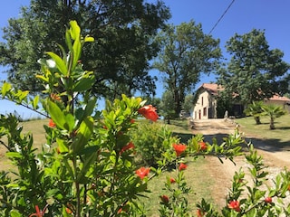 Vakantiehuis Plieux Buitenaudio-opname 6