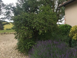 Vakantiehuis Plieux Buitenaudio-opname 14