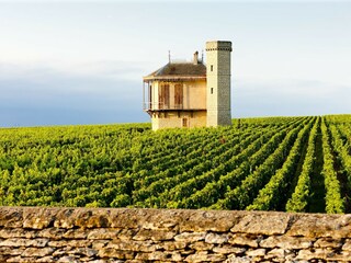 Vakantiehuis Plieux Omgeving 31