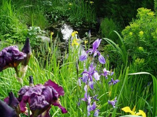 Appartamento Brixen Ambiente 22