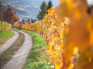 Appartamento Brixen Ambiente 25