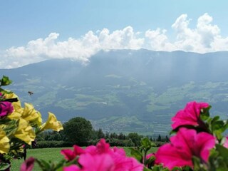 Apartamento Brixen Entorno 36