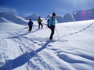 Appartement Brixen Environnement 32