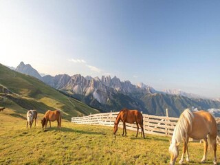 Apartamento Brixen Entorno 29