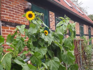 Ferienwohnung Hof-LandART Pfarrhaus