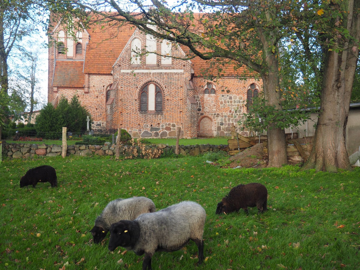 Blick zur Kirche