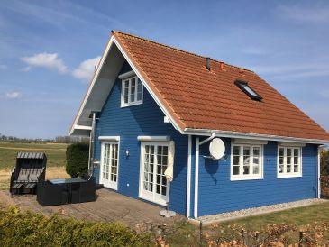 Holiday house Luxury holiday home "Traum in Blau"