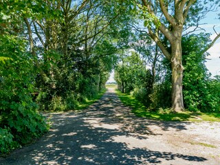 Casa per le vacanze Den Burg Registrazione all'aperto 12