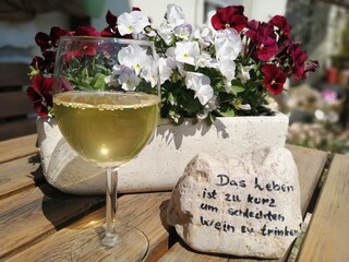 Appartamento Kurtatsch Registrazione all'aperto 21