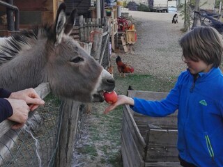 Appartamento Kurtatsch Registrazione all'aperto 14