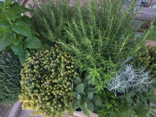 Appartamento Kurtatsch Registrazione all'aperto 11