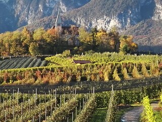 Appartamento Kurtatsch Registrazione all'aperto 13