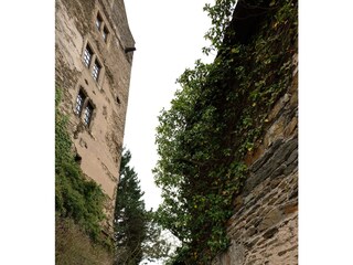 Wanderung Burg Bacharach