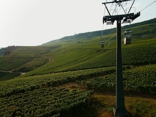 Wanderung durch die Weinberge