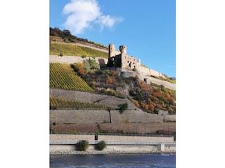 Ruine Ehrenfels vor Rüdesheim