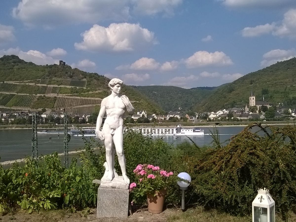 Ihr Blick auf  Garten und Rhein
